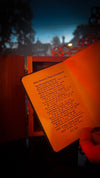 New Testament Bible Box