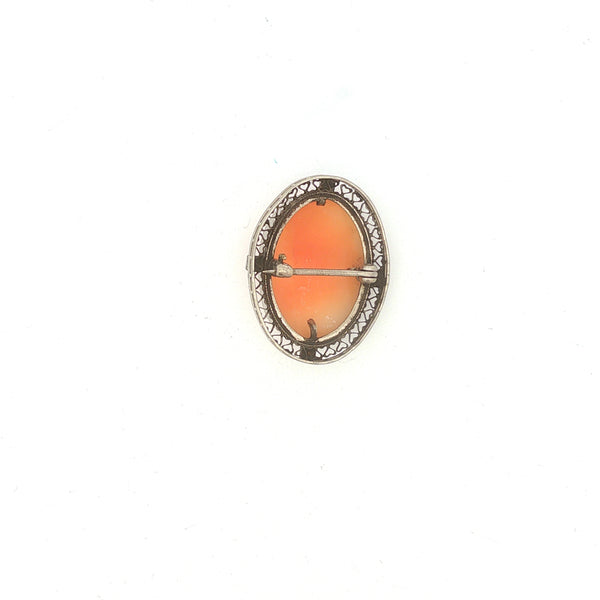 Shell Cameo with Filigree Brooch