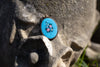 Antique Blue Enamel Floral Locket