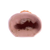 Antique Doll Head